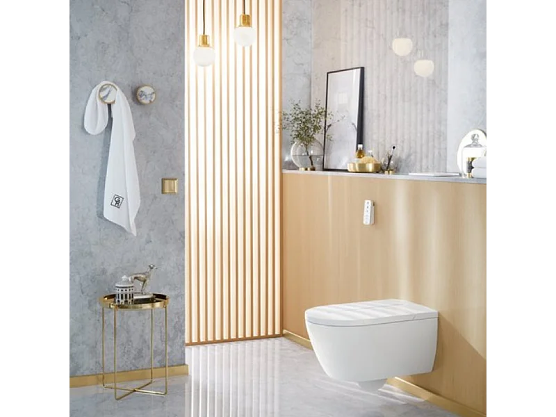 WC lavant sans bride VILLEROY ET BOCH Viclean-I100 avec abattant