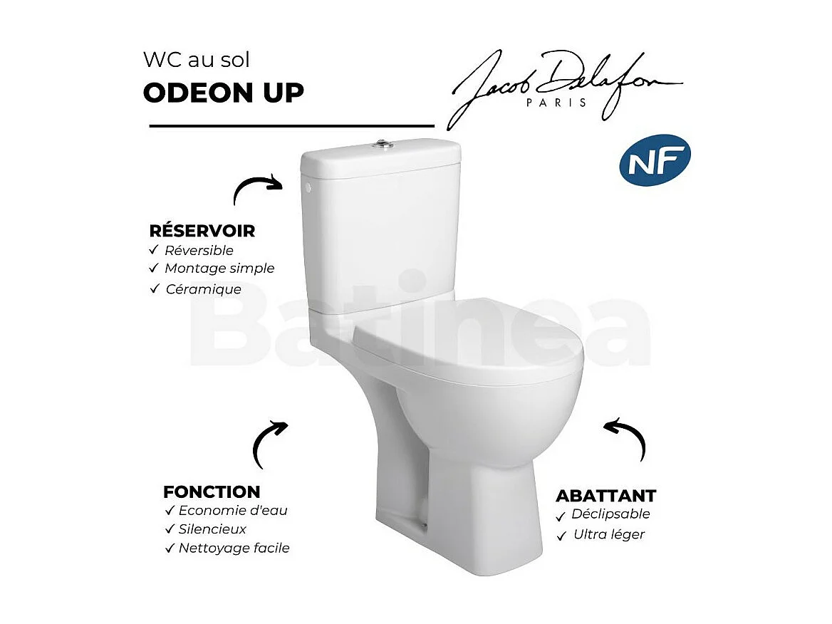 WC à poser JACOB DELAFON Odeon up + abattant standard