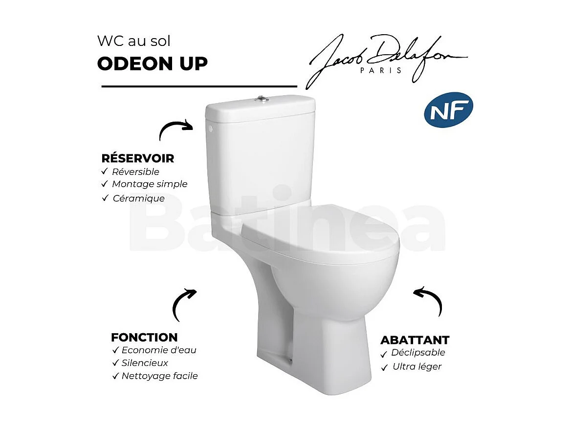 WC à poser JACOB DELAFON Odeon up + abattant standard