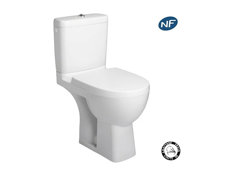 WC à poser JACOB DELAFON Odeon up + abattant standard frein du chute