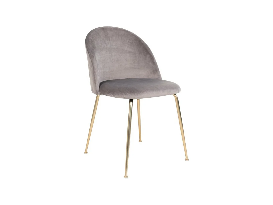 Conjunto de 2 sillas de terciopelo PINOZ – Elegancia contemporánea-Kleur Lichtgrijs