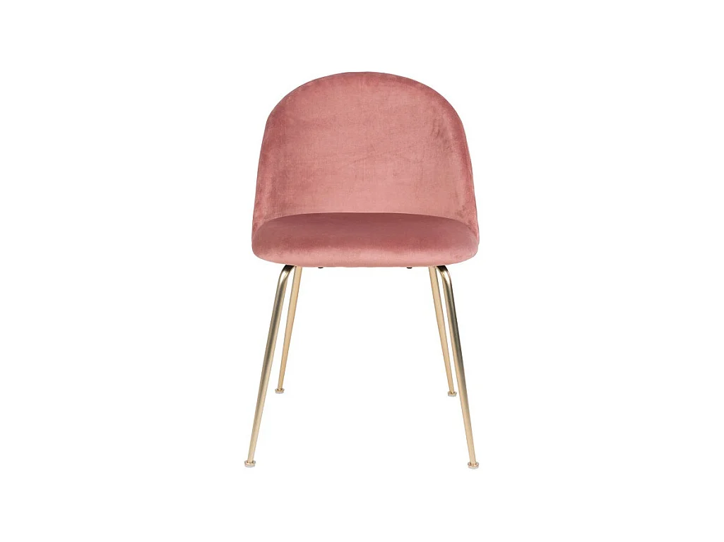 GENEVE - Lot de 2 chaises en velours avec pied doré