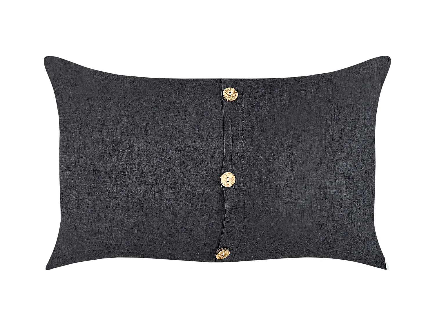 Lot de 2 coussins décoratifs BANORI Lin 30 x 50 cm Noir Unicolore