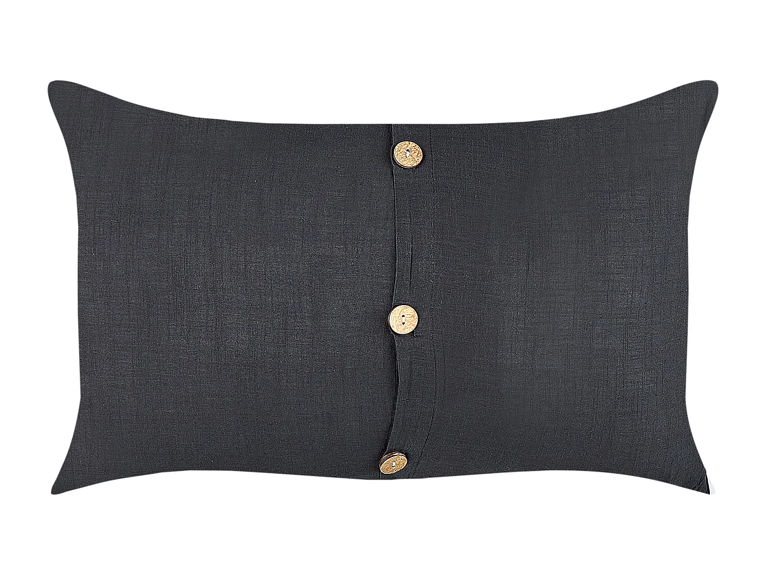 Lot de 2 coussins décoratifs BANORI Lin 30 x 50 cm Noir Unicolore