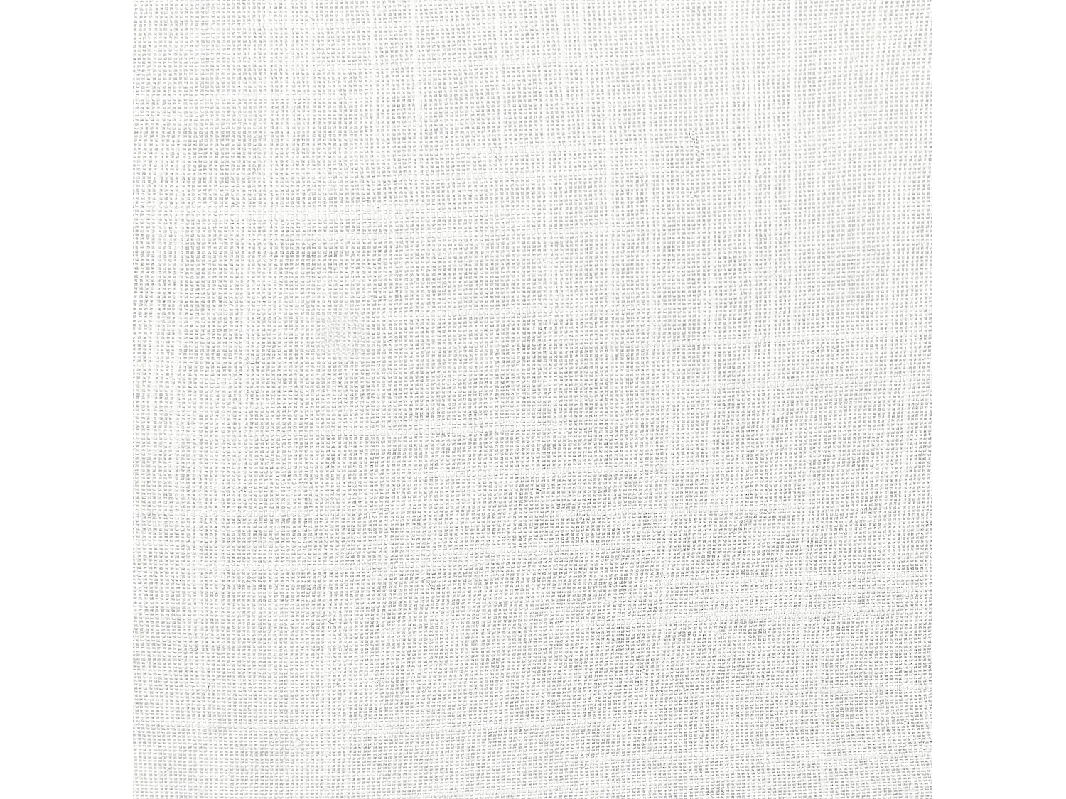 Lot de 2 coussins décoratifs BANORI Lin 30 x 50 cm Blanc Unicolore
