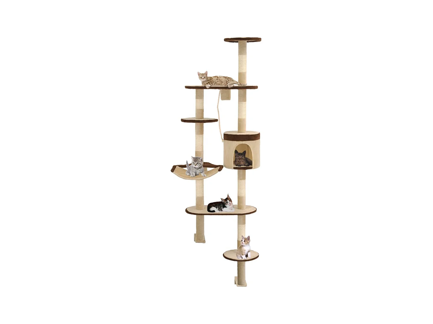 Arbre à chat en sisal Montage mural 194 cm Beige et marron