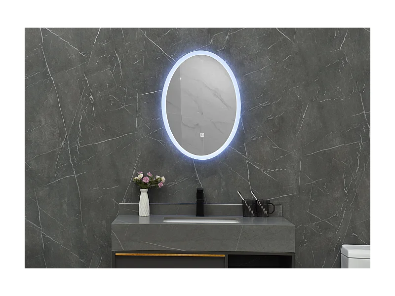 LuxuryBain- Miroir de salle de bain LED à luminosité variable 60x80cm oval
