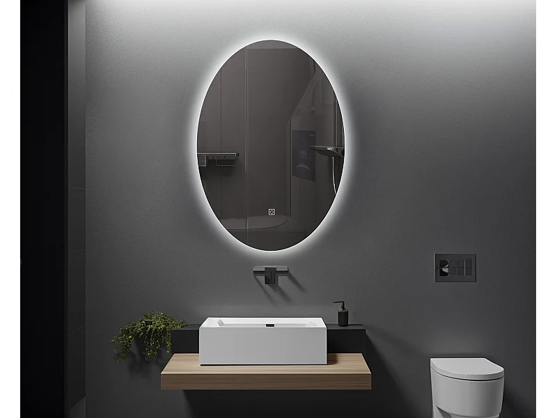 LuxuryBain- Miroir de salle de bain LED à luminosité variable 60x80cm oval