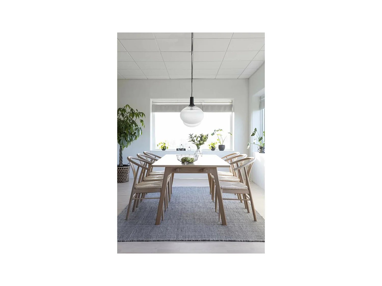 York chaise de salle à manger avec accoudoirs chêne.