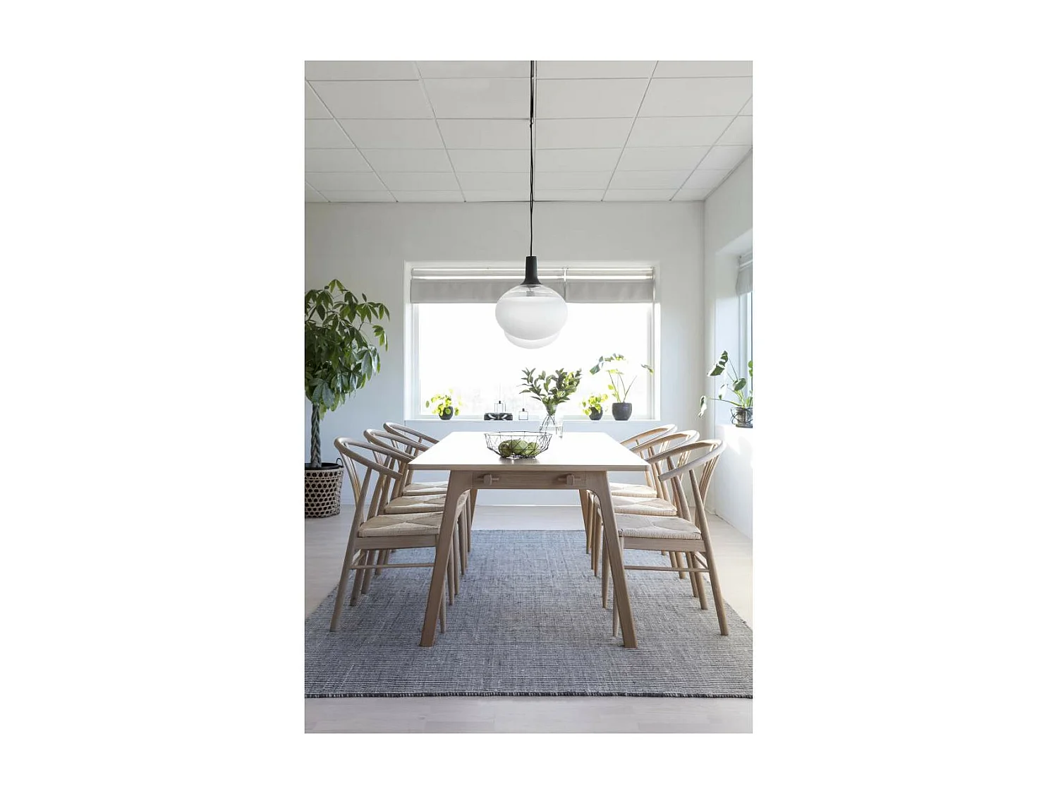 York chaise de salle à manger avec accoudoirs chêne.