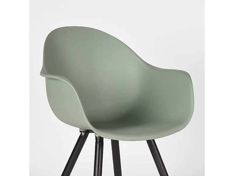 Chaise de salle à manger Luca - Forest - Plastique - lot de 2