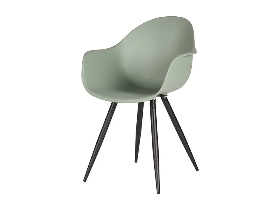 Chaise de salle à manger Luca - Forest - Plastique - lot de 2