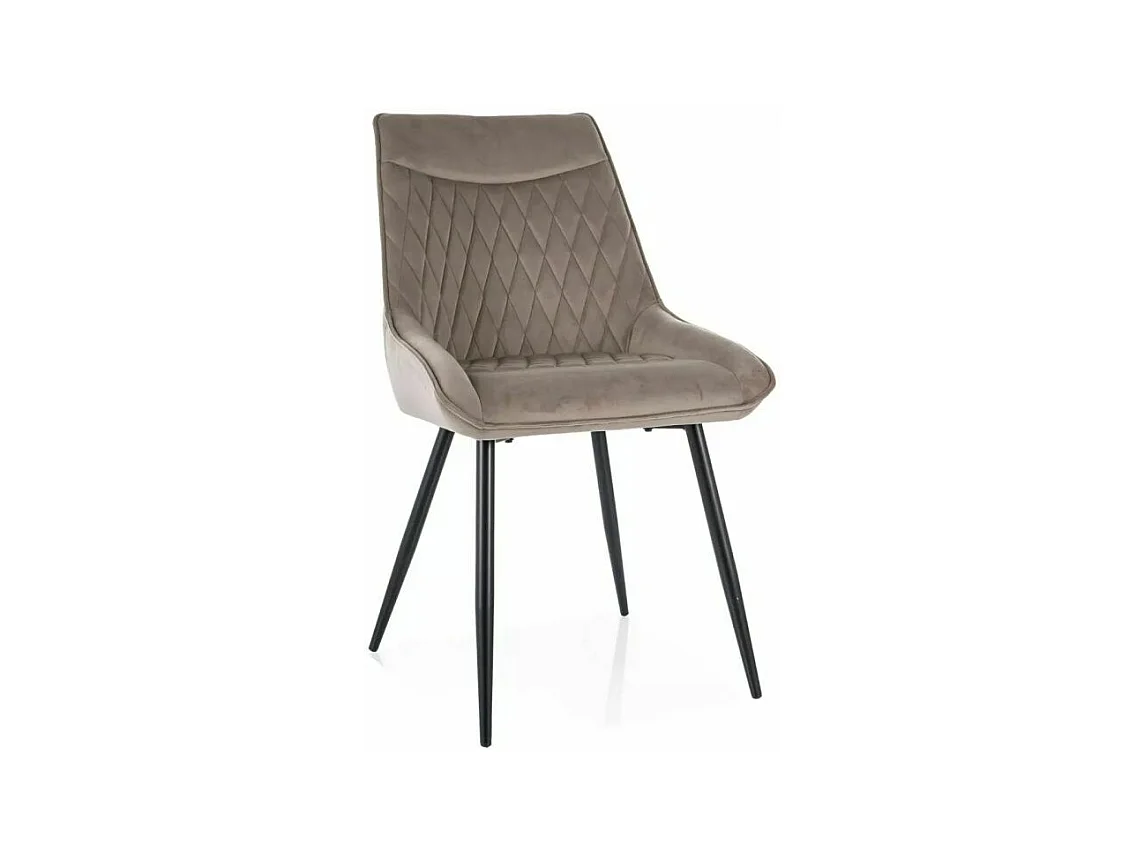 Tavolo da pranzo  Westin W-XL /Ceramica/Marrone/90x260