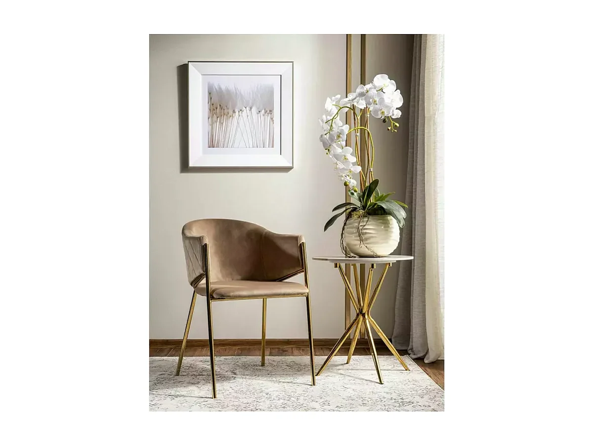 Chaise Bono BG/Tissu-Velours/Beige