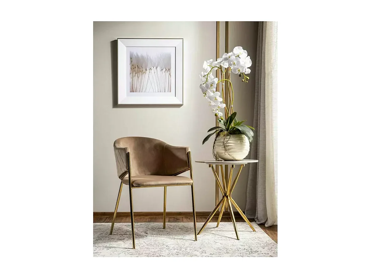 Chaise Bono BG/Tissu-Velours/Beige