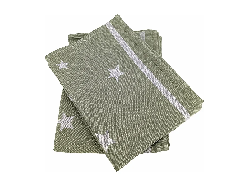 Lot de 2 torchons de cuisine 50x70 cm collection NOVA 100% Coton vert