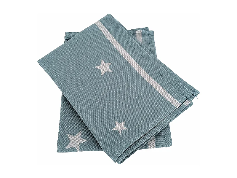 Lot de 2 torchons de cuisine 50x70 cm collection NOVA 100% Coton bleu