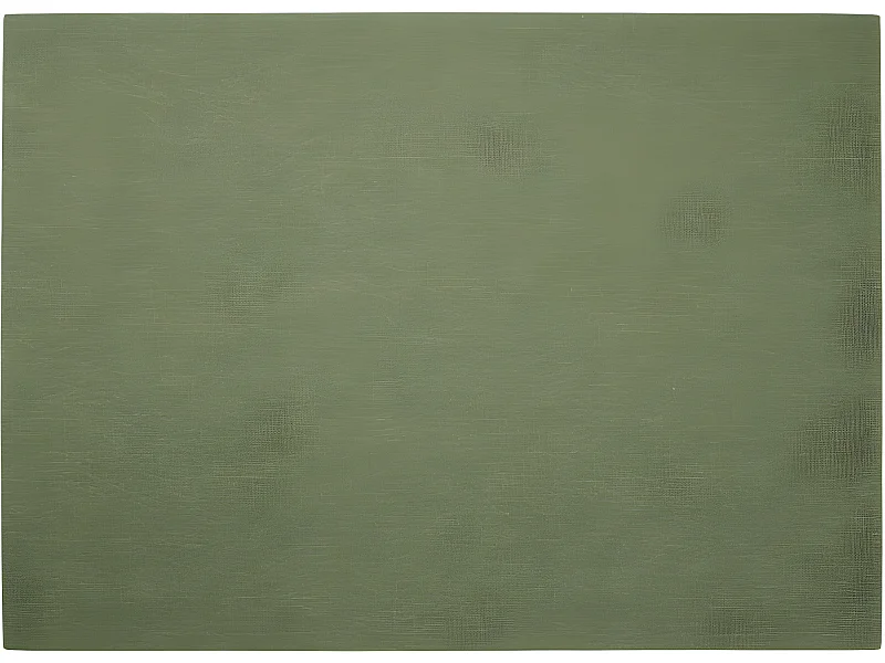 Mantel individual de 46x33cm en plástico verde