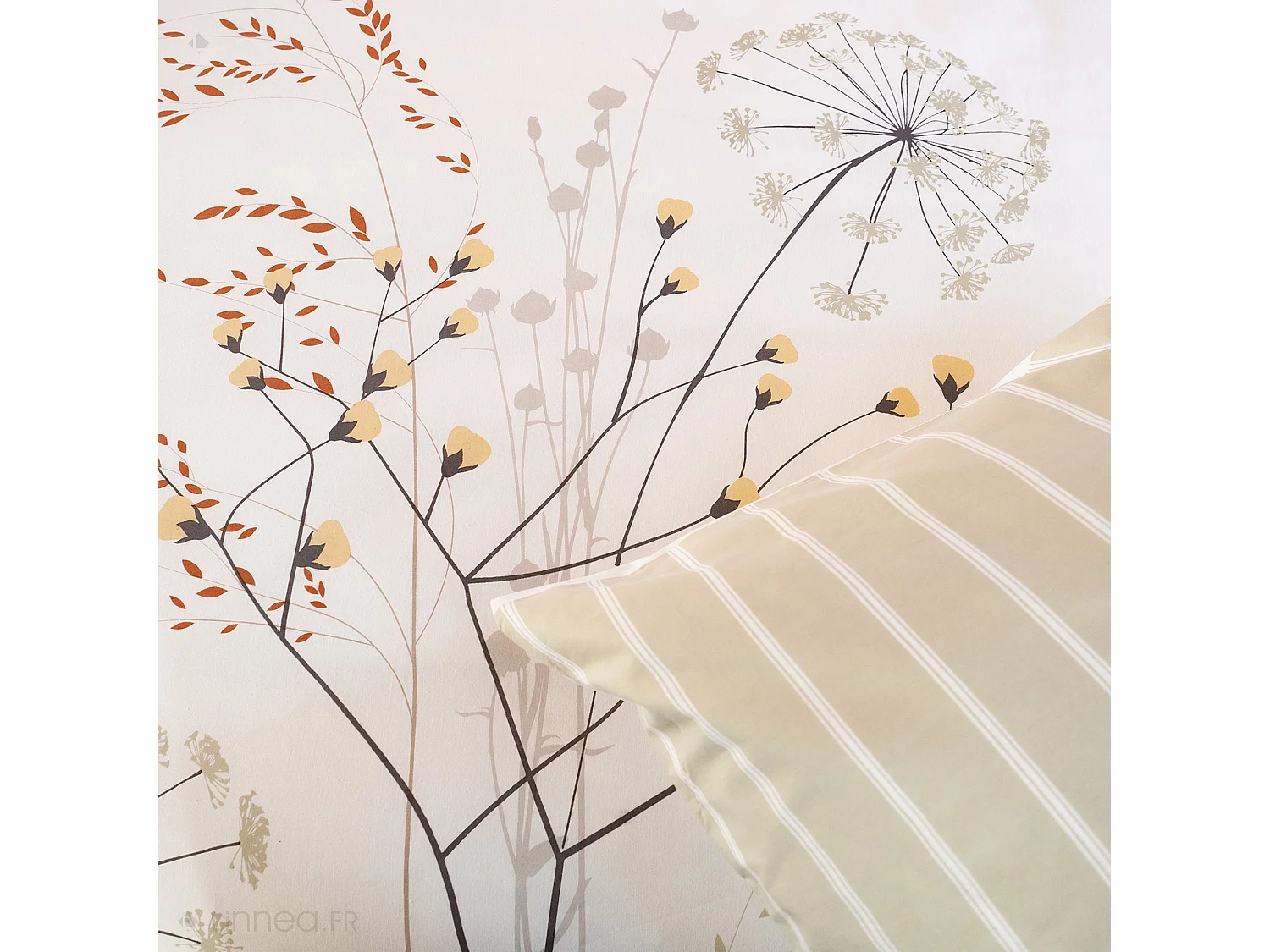 Parure de lit 3 pièces 240X220 cm SOLIFLORE coton