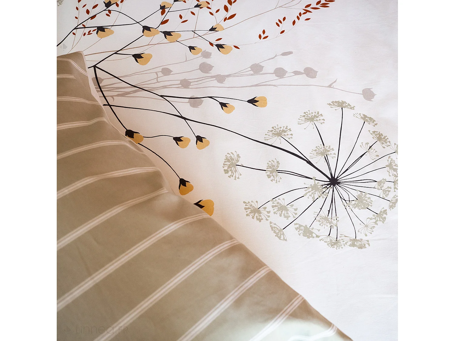 Parure de lit 3 pièces 240X220 cm SOLIFLORE coton