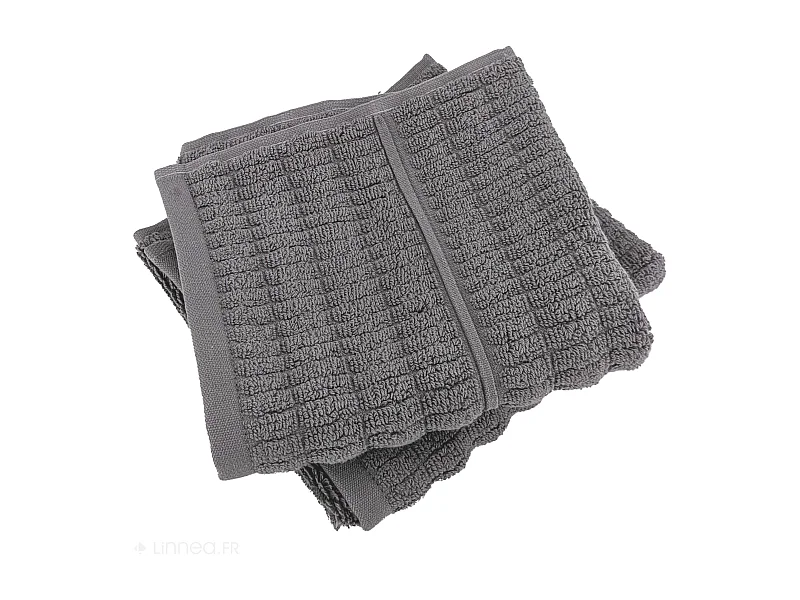 Lot de 2 serviettes invité en fils retors 33x50 cm pur coton collection SWELL gris
