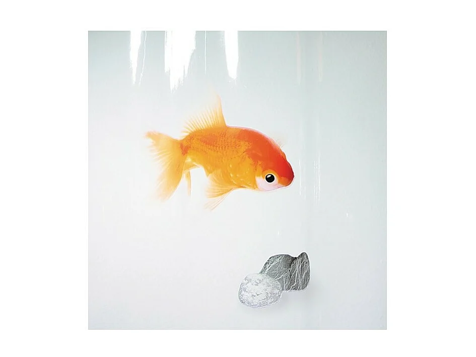 Rideau de douche PEVA GOLDFISH 180x200cm Motif Poissons Spirella