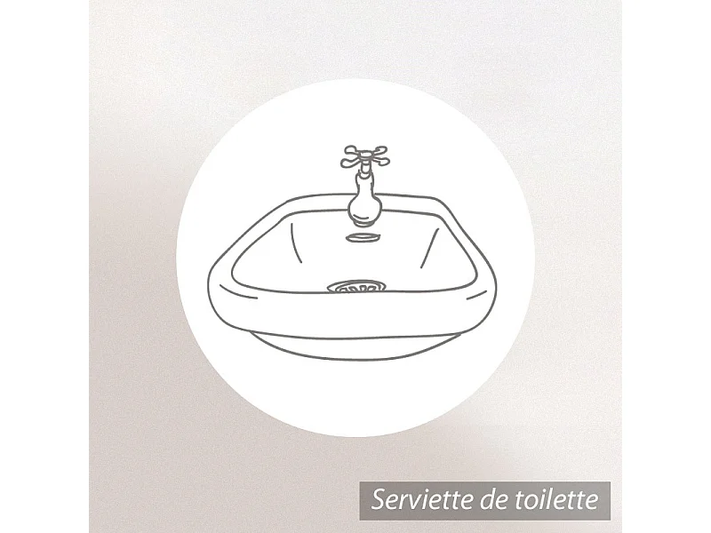 Serviette de toilette coton 50x100 cm collection SWELL gris