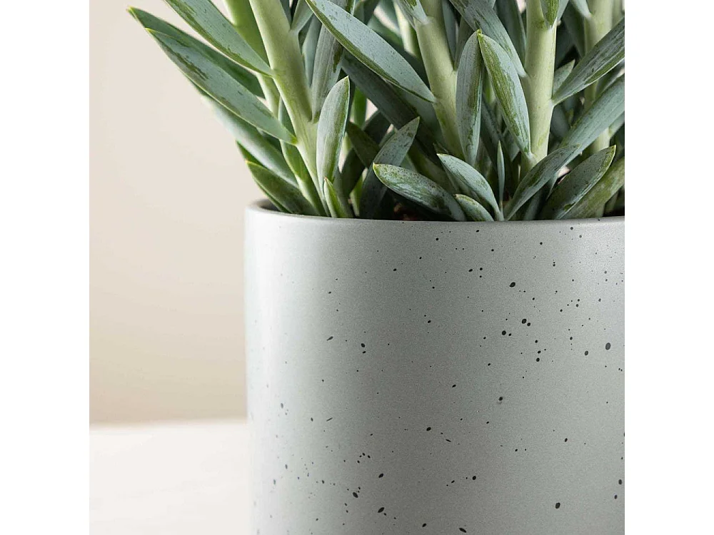 Sane bloempot donkergrijs.