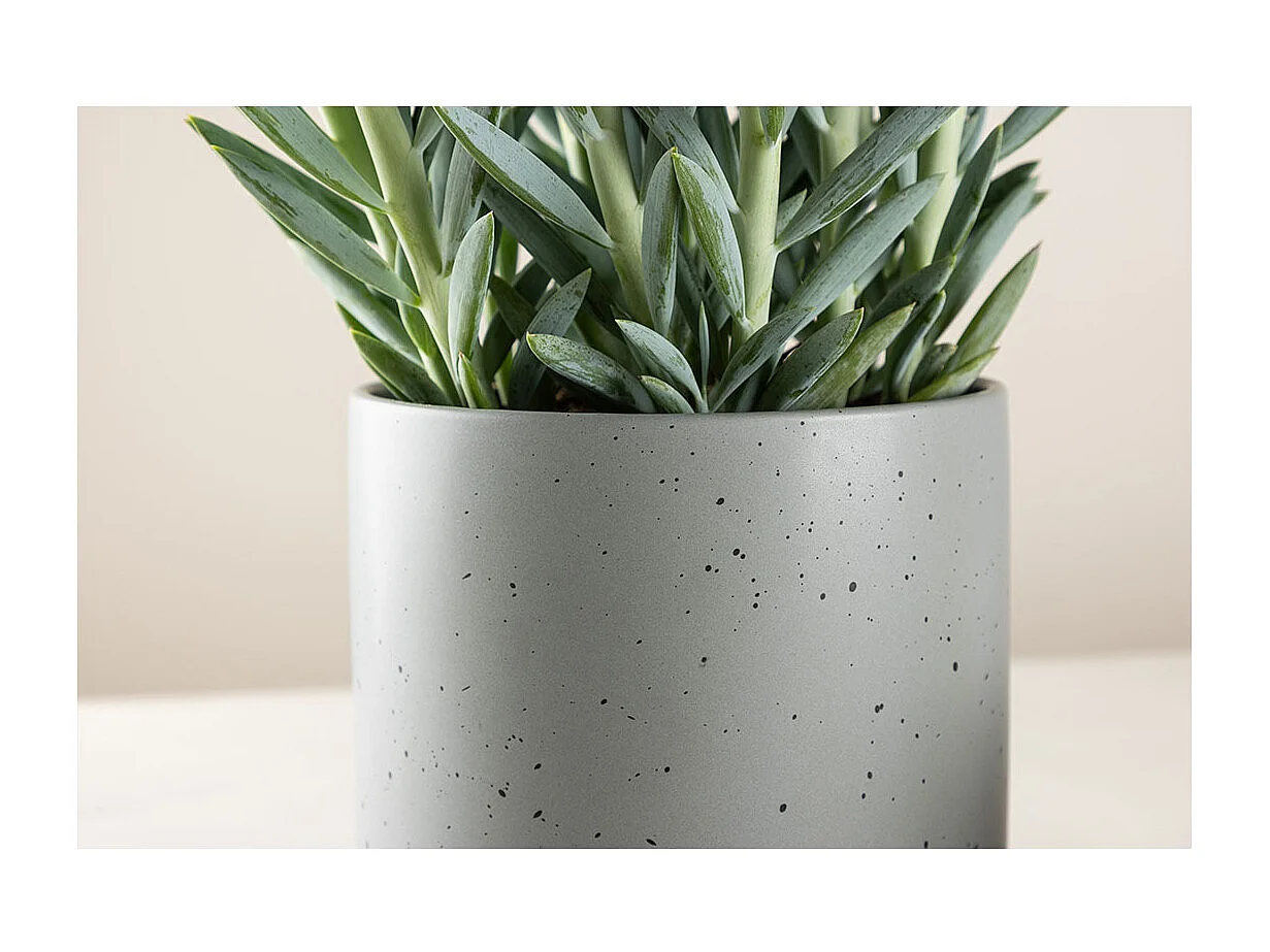 Sane bloempot donkergrijs.