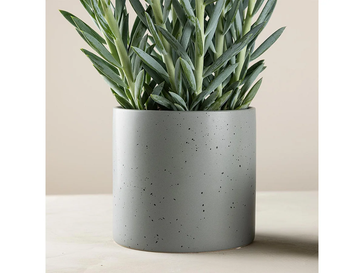 Sane Blumentopf dunkelgrau.