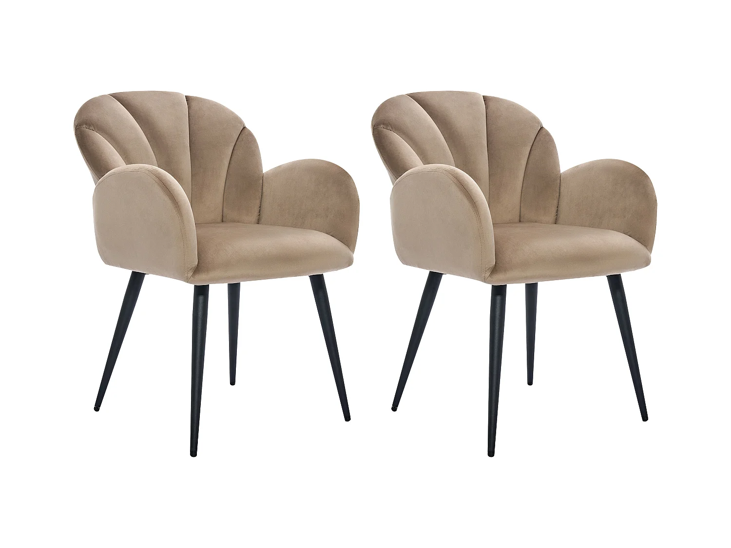 Sæt med 2 velour armstole i velour og sort metal - Beige - LANSENA fra Pascal Morabito