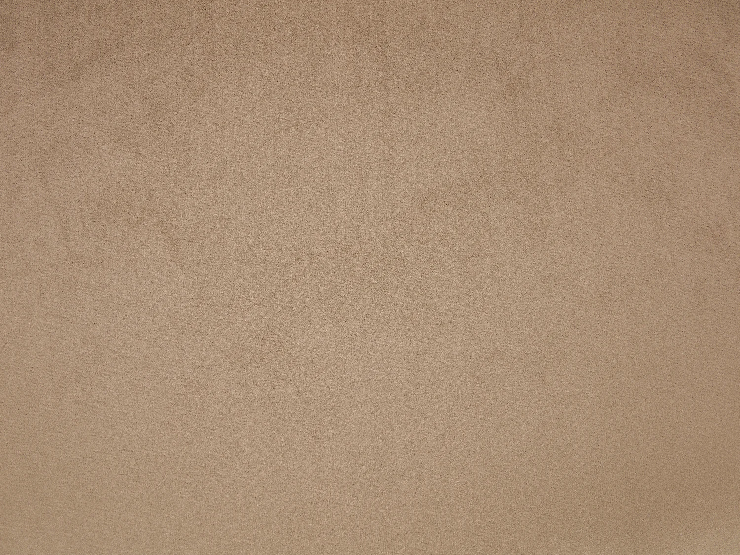 Lot de 2 chaises avec accoudoirs en velours et métal noir - Beige - LANSENA de Pascal Morabito