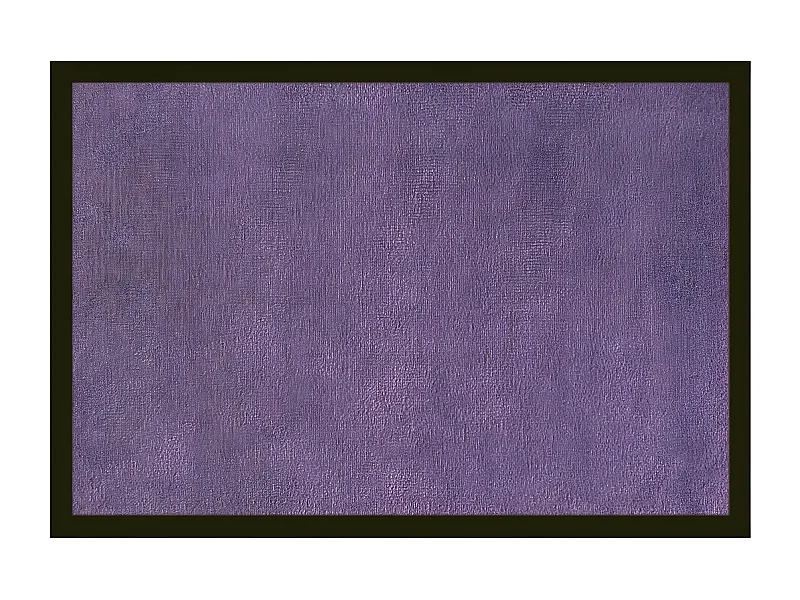 Tapis anti-poussière " Violine " en polyamide - Largeur 40 x Longueur 60 cm