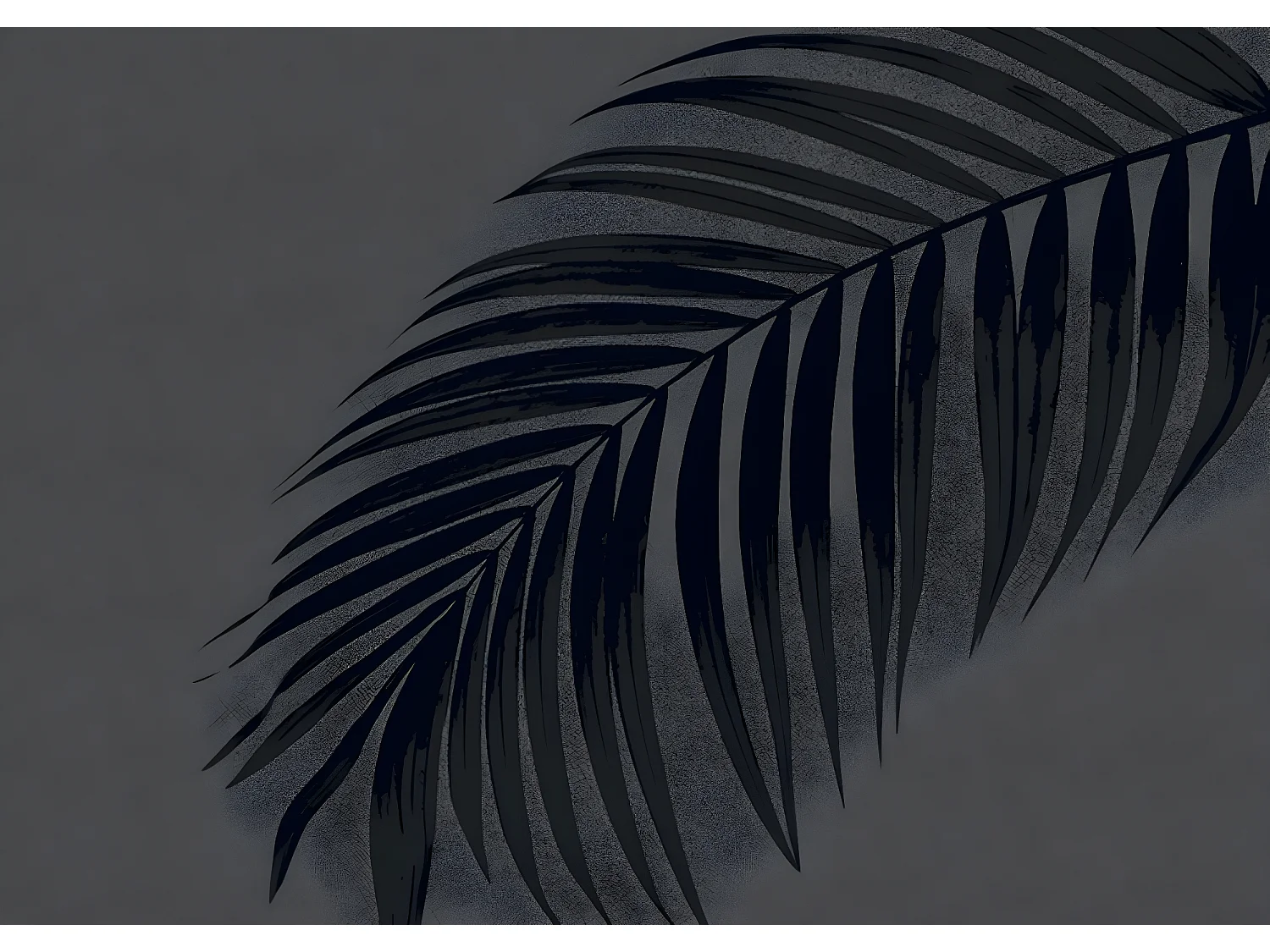 Tapis anti-poussière "Fougère Carbonis " en polyamide - Largeur 40 x Longueur 60 cm