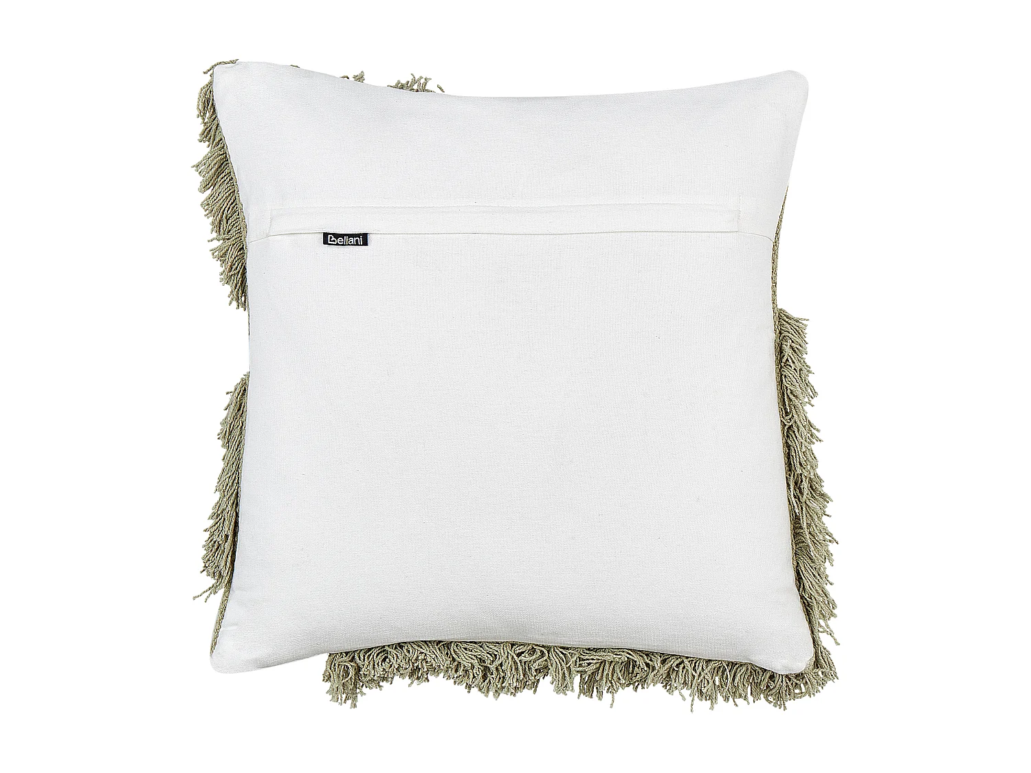 Lot de 2 coussins décoratifs SOURWOOD Coton 45 x 45 cm Vert clair Motif géométrique