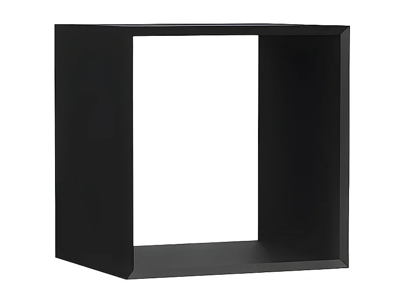 Malax Regaleinsatz | Farbe: Schwarz | Modern | Ideal für Kinderzimmer, Teenager, Jugendzimmer | Einfache Montage