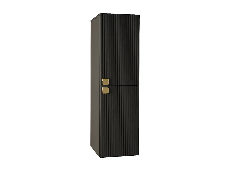 Mueble de baño de pared Orlvera 100, Negro, Montada en la pared, Número de puertas: 2,