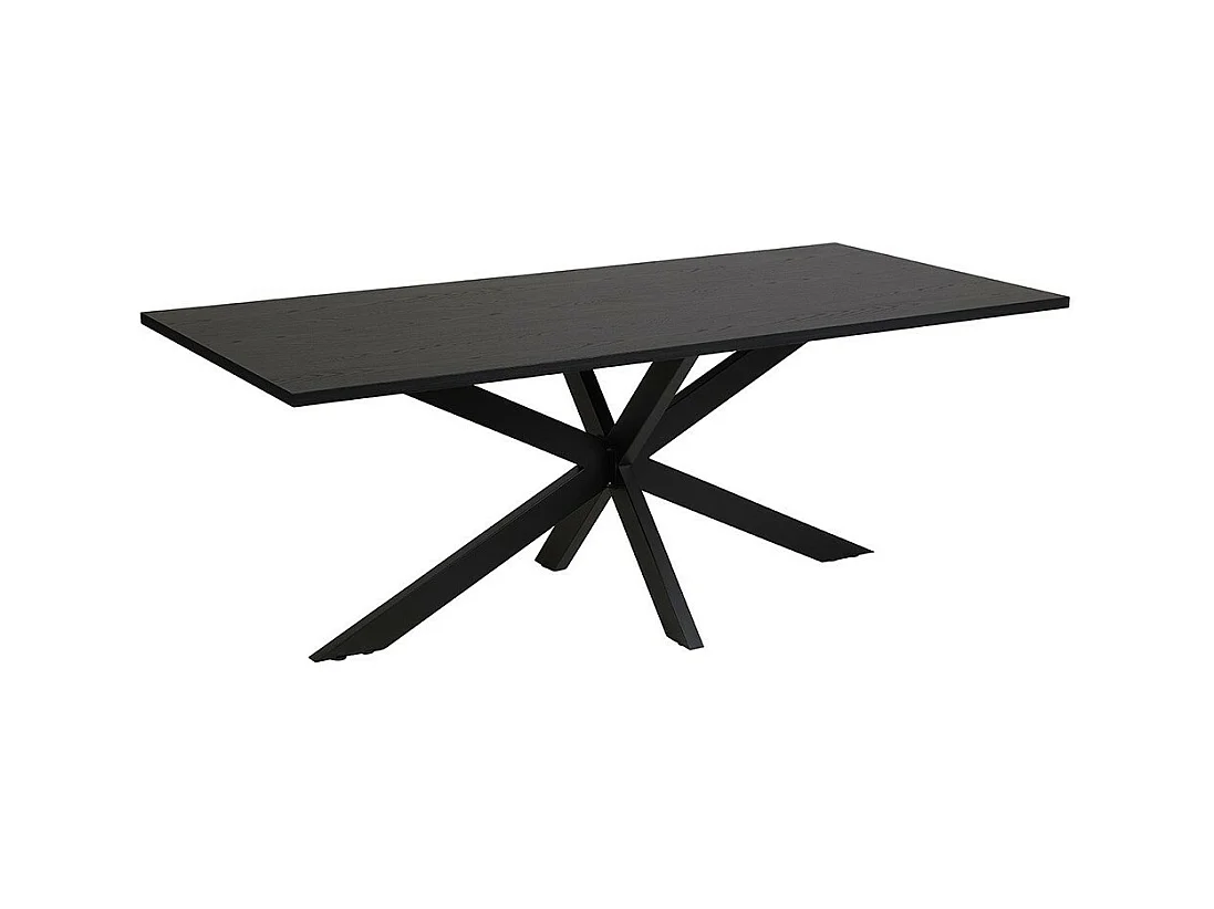 Tafel voor 10 personen voor eetkamer, collectie LOFT in zwarte kleur. Metalen poten.