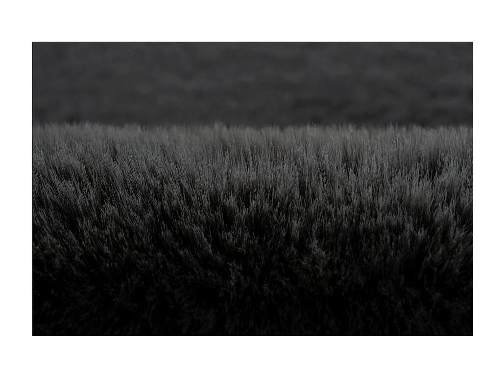 Tapijt 230x160cm, design H008N in grafietkleur - Comfort en elegantie voor uw interieur