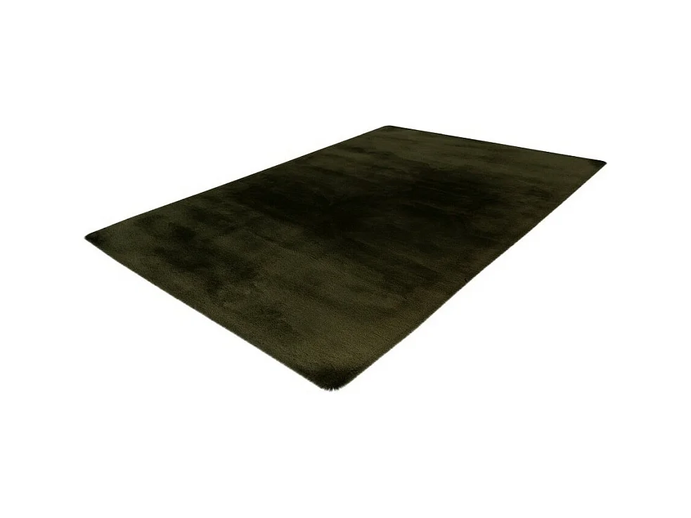 Tapis 230x160cm, design H008N coloris vert basilic - Confort et élégance pour votre intérieur