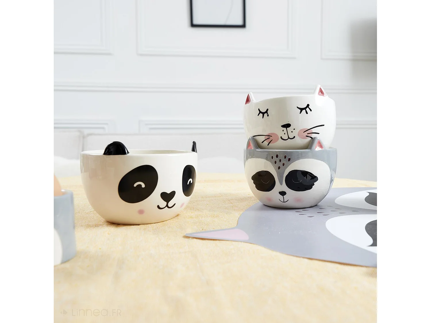 Bol 100% dolomite 45cl collection ANIMAUX 45 cl raton laveur