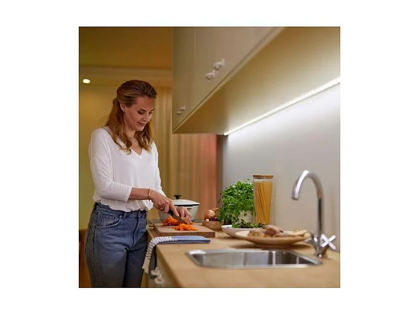 Rallonge Ruban LED 12V RGBWW WiZ 1m  RGBWW