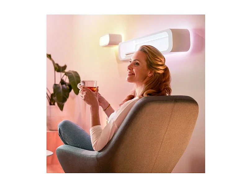 Rallonge Ruban LED 12V RGBWW WiZ 1m  RGBWW