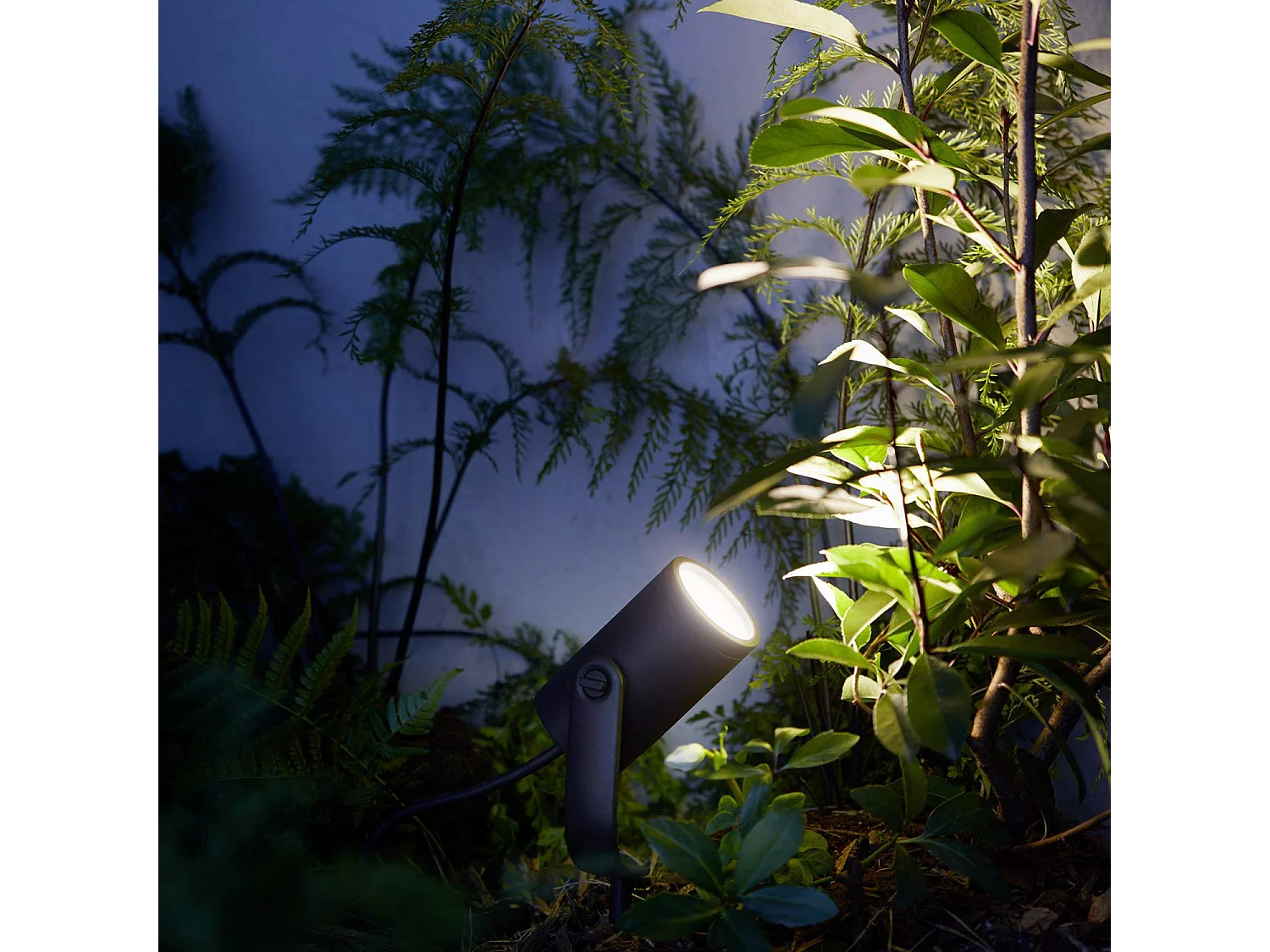 Rallonge Spot sur Piquet White Color Lily 8W  Hue Blanc RGBW