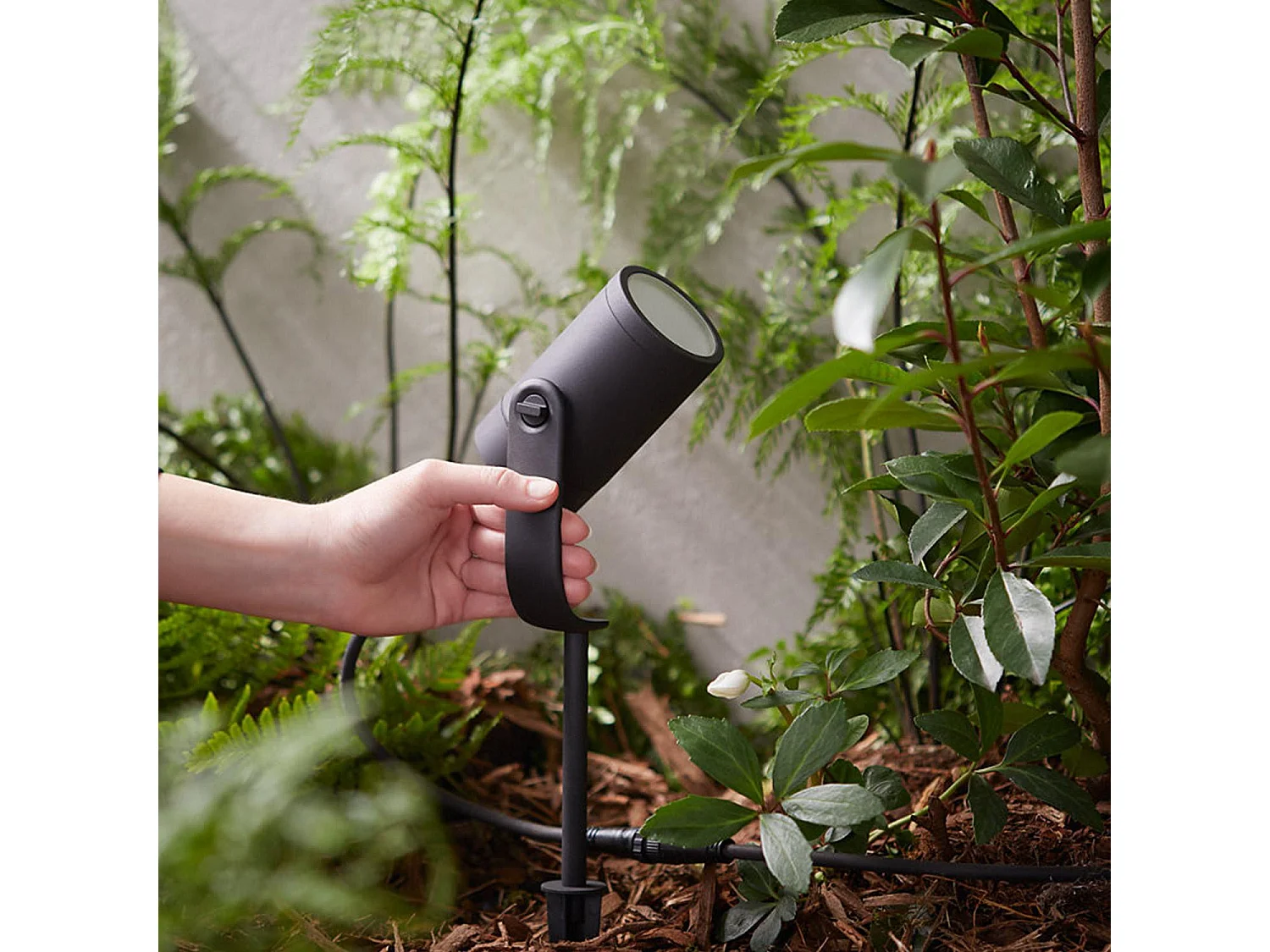 Rallonge Spot sur Piquet White Color Lily 8W  Hue Blanc RGBW