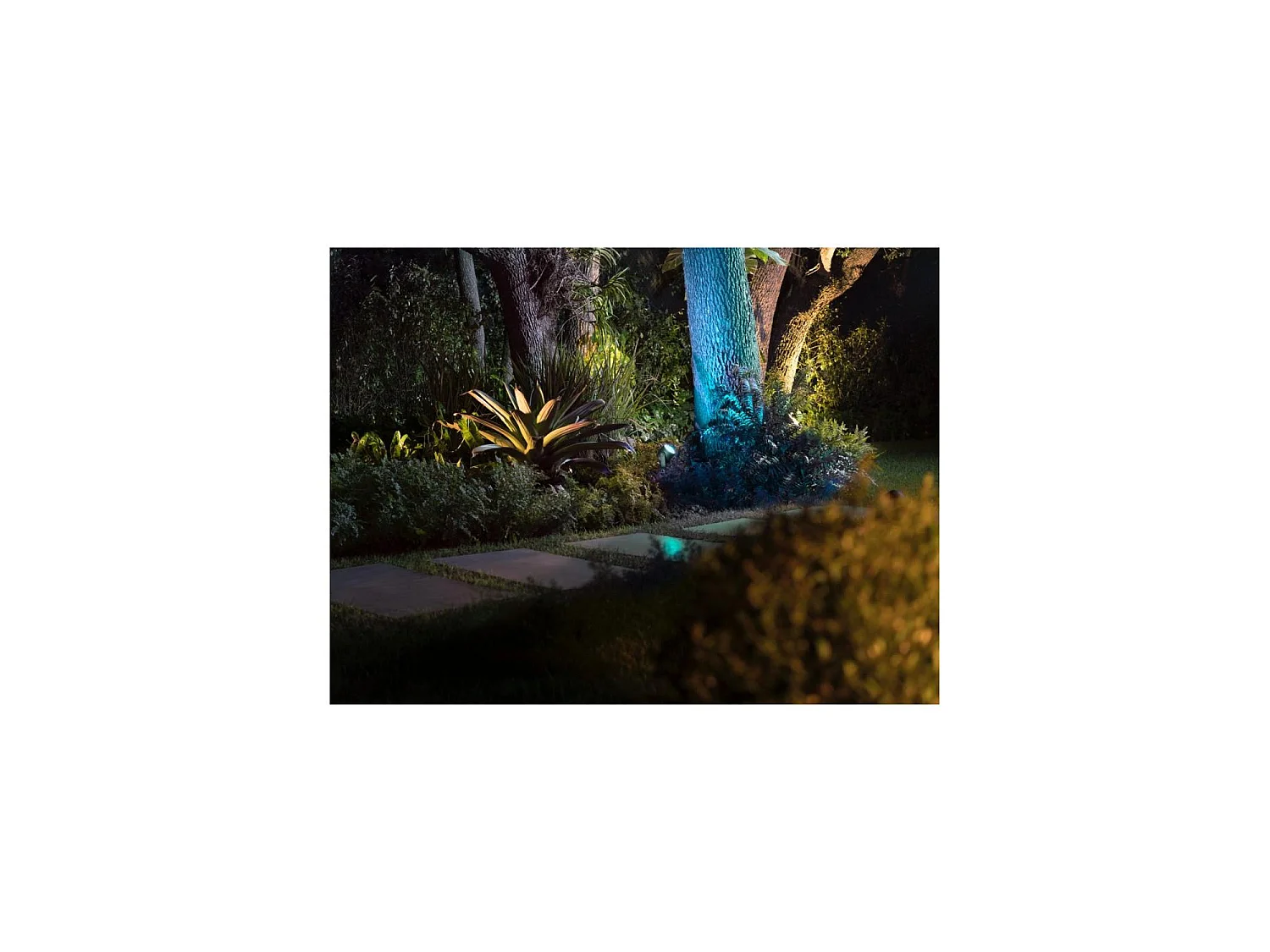 Spot Extérieur LED 8W 24VDC sur Piquet White Color Lily XL  Hue  RGBW