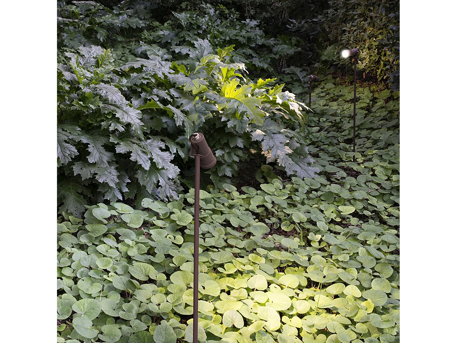 Projecteur LED 3W COB IP65 Marron LEDS-C4 05-9881-J6-CL  Blanc Chaud 2700K - 3200K