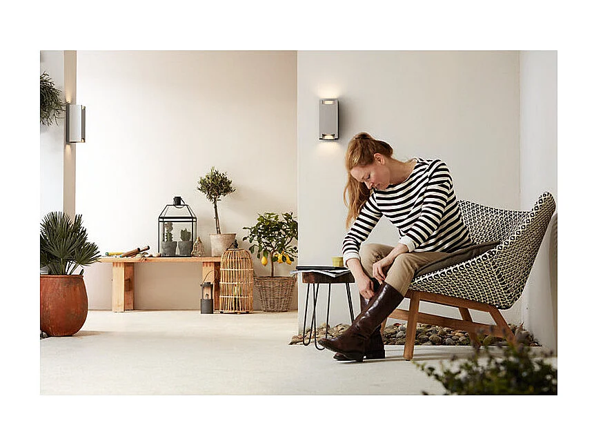 Applique Murale Extérieure  Trowel Double Éclairage Argent