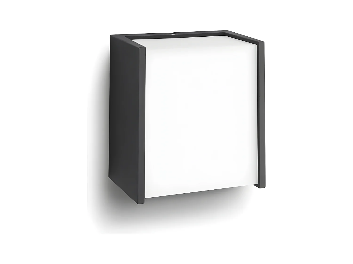 Applique Murale LED Extérieure  Macaw 3W Noir