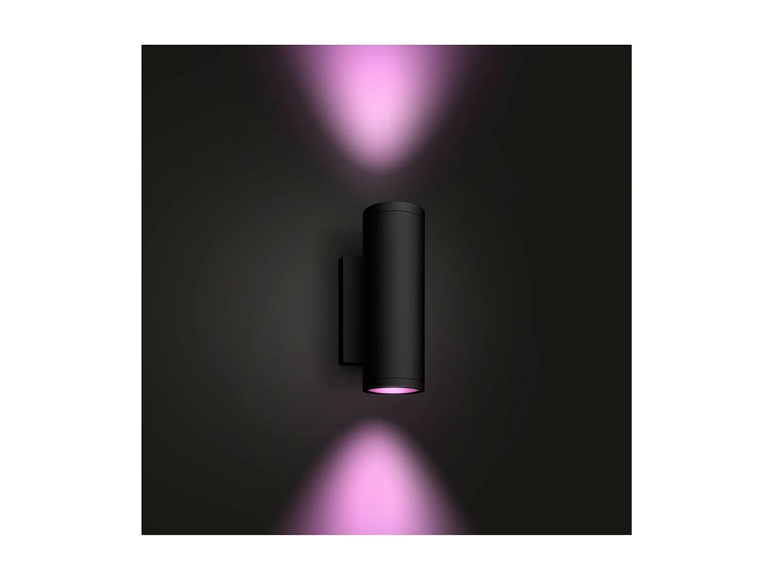 Applique Murale LED Extérieure White Color Appear 2x8W  Hue Noir